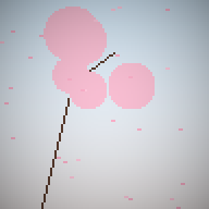 Cherry Blossom