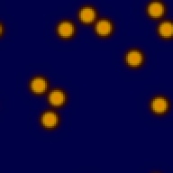 Coral Garden