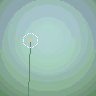 Dandelion — animated pixel art loop generated in Phluxel