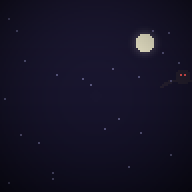 Night Bat