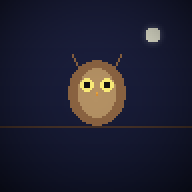 Night Owl